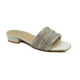 WOMEN FANCY SLIPPER RL-25109